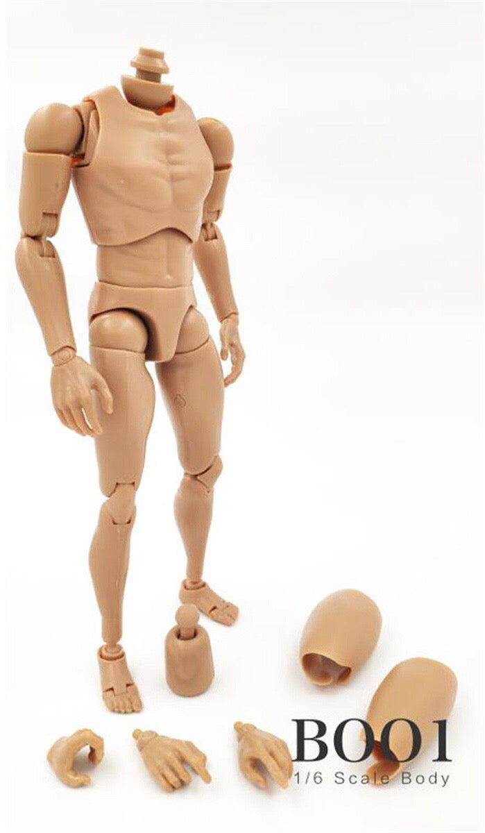 ZY Toys 1/6 New Design Narrow-shouldered Body in Wheat Skin Color [ZY-NB001]