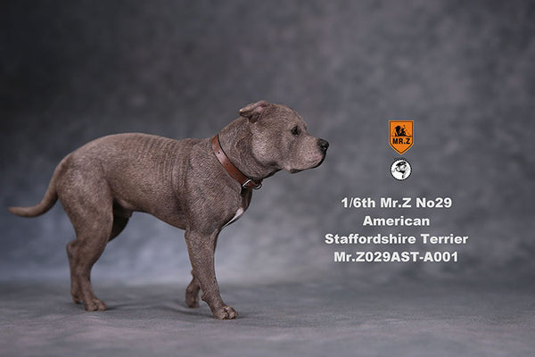 American Staffordshire Terrier Mr.Z 1/6 Scale A001