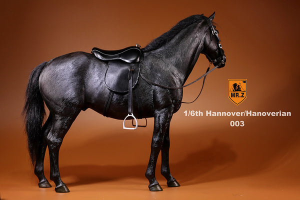 Hannover Black Horse Mr.Z 1/6 Scale 003