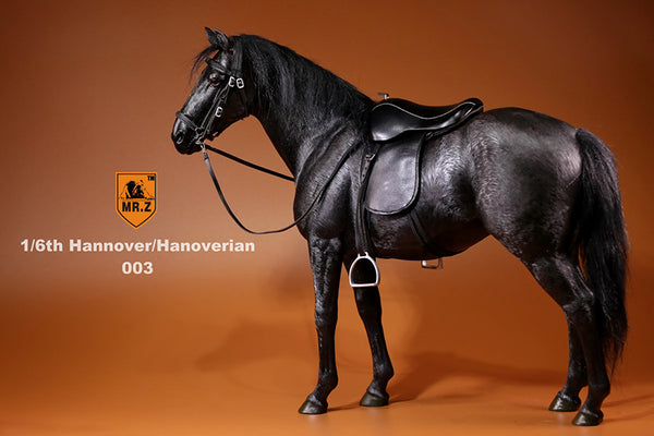 Hannover Black Horse Mr.Z 1/6 Scale 003