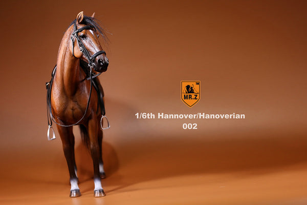 Hannover Brown Horse Mr.Z 1/6 Scale 002