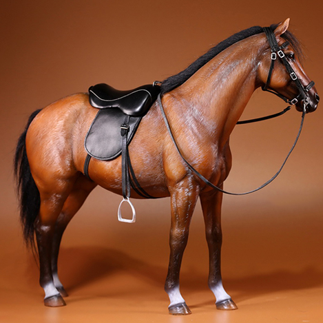 Hannover Brown Horse Mr.Z 1/6 Scale 002