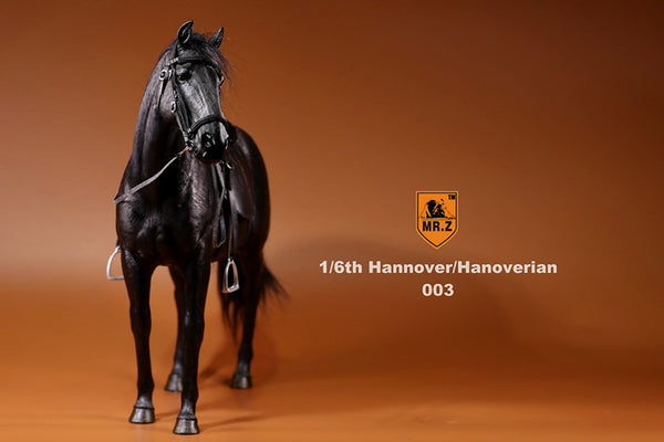 Hannover Black Horse Mr.Z 1/6 Scale 003