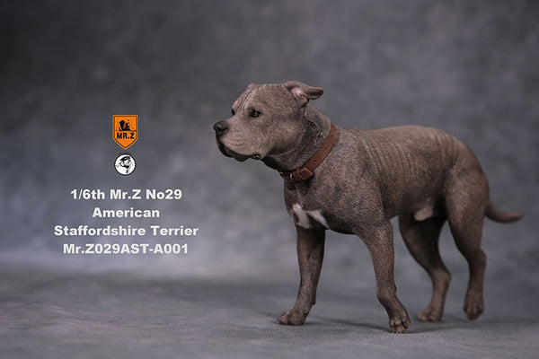 American Staffordshire Terrier Mr.Z 1/6 Scale A001